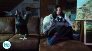 Nord Duck artist 20sec EST