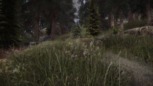 SkyrimSE | NVT ENB & Obsidian | My Most Realistic Preset Yet??