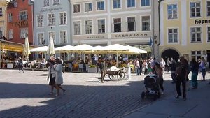 Позорный столб у здания Ратуши.Таллин