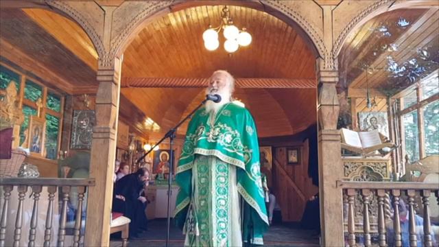 "Protect Your Children!" // Father Ghelasie Tepes - Message To Orthodox Families смотреть онлайн