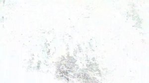 Прогулка в заснеженном парке Кусково 2019