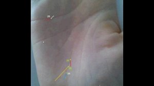 Хиромант Генрих Валье. Анализирует события на линии Судьбы.