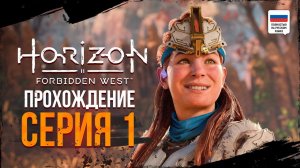 Новая история Элои. Horizon Forbidden West. Прохождение #1