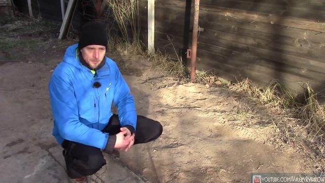 Как избавиться от мышей и крыс без отравы. Мыши с крысами уйдут сами