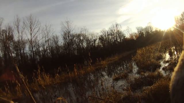 Duck Hunting Tennessee 2012 смотреть онлайн