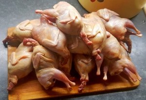 Тушёнка из перепёлок