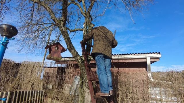 Живые истории, сгонял на дачу. смотреть онлайн