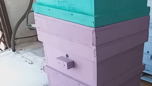 Красим ульи. Готовимся к сезону.