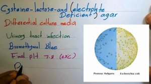 CLED agar media - urine culture/What & Why (clear explanation)