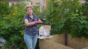 Самый правильный компост - делаем с нуля