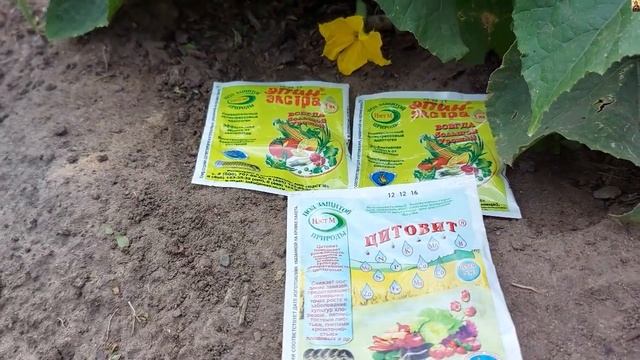Проверенные схемы  для снятия стресса у растений