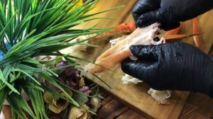 Салат из краба Стригуна и авокадо