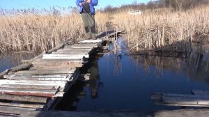 Увлекательная весенняя рыбалка. Судак на силикон. Карась на боковой кивок