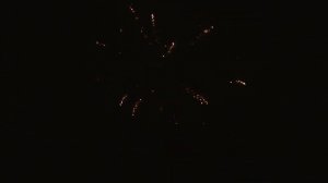 Фейерверк Огненный цветок, салют на 49 залпа 1 дюйм(а) C007