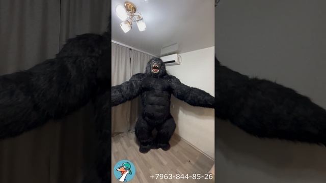 Карнавальный костюм Кинг-Конга 2.6 метра ростовая кукла, надувной костюм для аниматора
Щедрый гусь