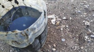 Как очистить пруд от ила? | ОЧИСТКА ПРУДА от ила