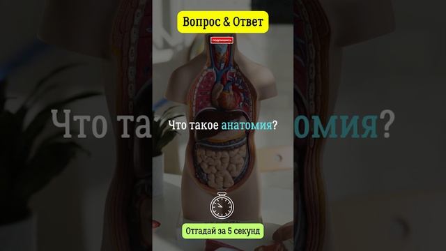 Что такое анатомия?  #вопросответ #анатомия  #тело  #человек  #организм