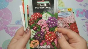 Что посеять в ЯНВАРЕ 2020 года.