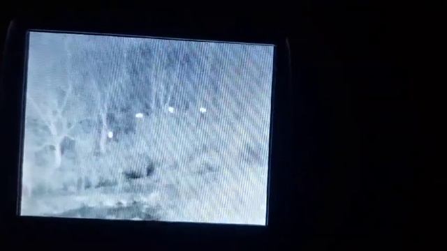 열화상카메라로 멧대지확인 смотреть онлайн