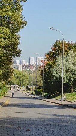 Вид на Москву от входа в усадьбу Коломенское.