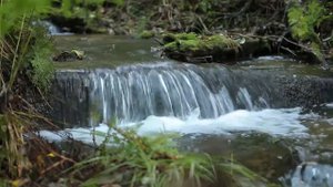Большехехцирский Заповедник