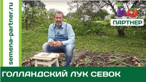 РЕПЧАТЫЙ ЛУК. УБОРКА И ПОДГОТОВКА К ХРАНЕНИЮ