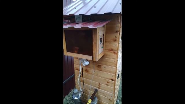 Грудинка горячего копчения смотреть онлайн