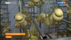 Свое, родное, натуральное: как готовят сыр в Корочанском районе