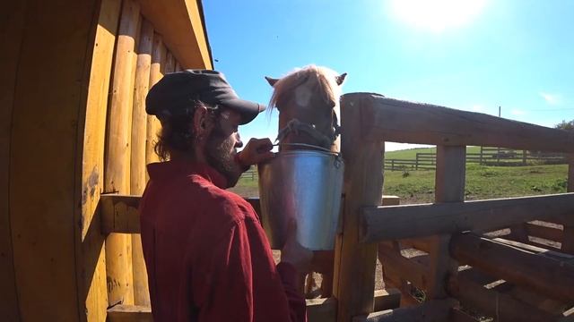 Странник Судьбы идёт на помощь. Будни в деревне. смотреть онлайн