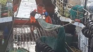 Промысел донным тралом. Подъем трала