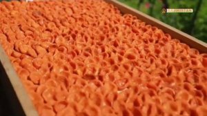 Ворух 29 07.23.