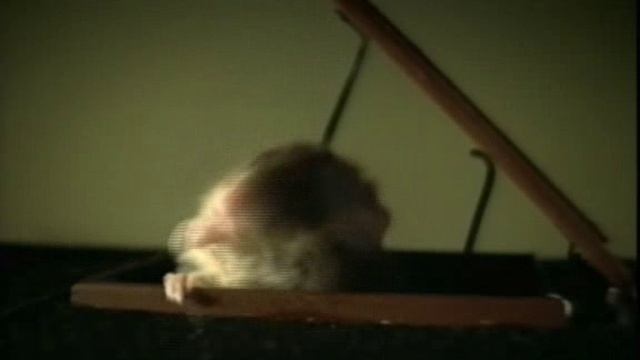 Ночь пожирателей рекламы. смотреть онлайн