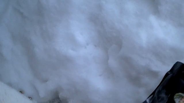 Кормлю бездомного ручного кота или кошку смотреть онлайн