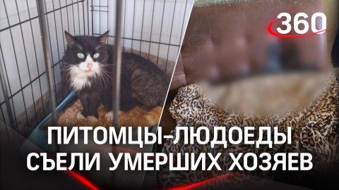 Питомцы-людоеды из Екатеринбурга.  11 кошек и собак две недели питались телами умерших хозяев