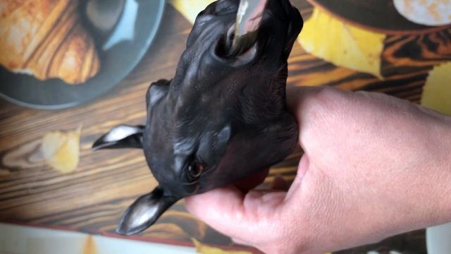 Этапы лепки головы коня. смотреть онлайн