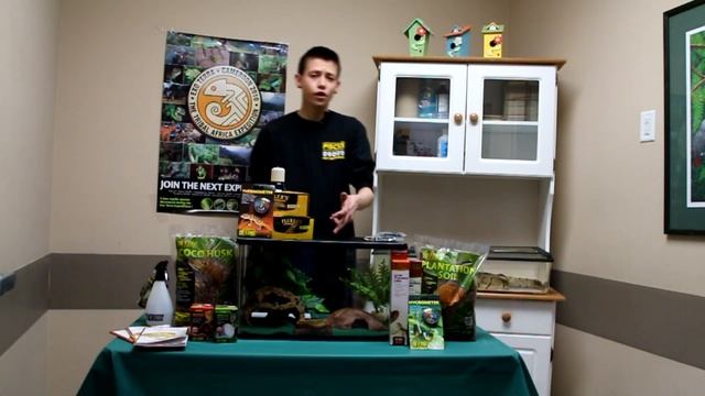Basic Ball Python Set Up & Care