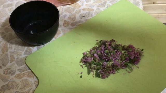 20 июля 2021 г. Колючий гость. Аптека под ногами. смотреть онлайн