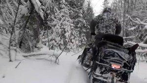 Стелс Витязь "новогодняя история"