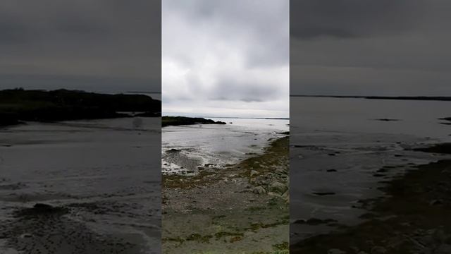 Borgarnes beach Iceland