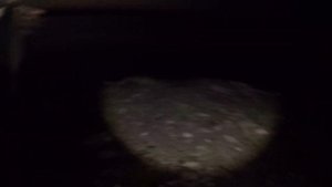рыбалка на квх ловля сазана
