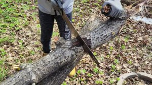 Первый шашлык (Пасха-2023)