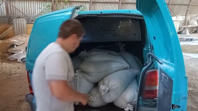 Зерновые для откорма свиней. Цена пшеницы, гороха 2021. Цена на живой вес свиней. Свиноводство. смотреть онлайн