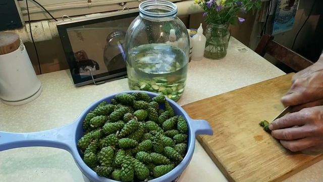 спасаемся от инсульта сосновыми шишками смотреть онлайн