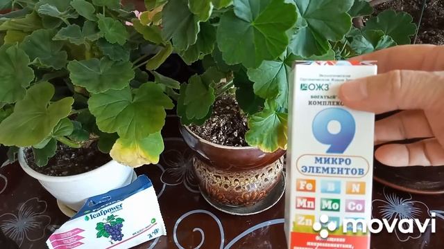 удобрения, для цветов, чем и когда кормлю! смотреть онлайн