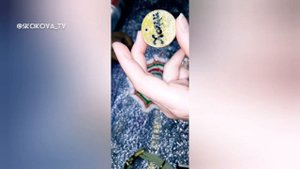 Оберег для собаки