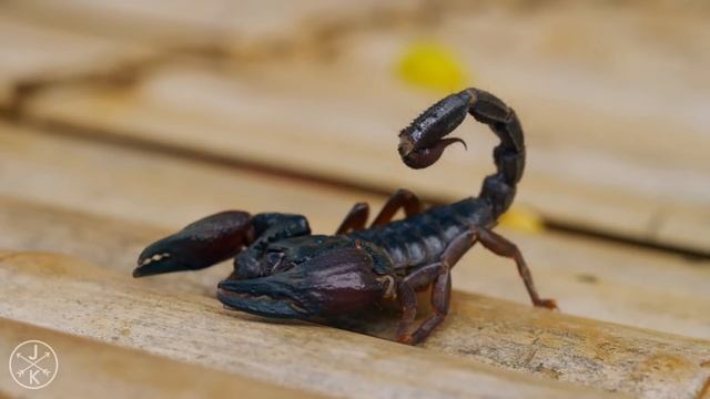 ?Природа от которой захватывает Дух 4к | Best Nature beautiful Ultra HD 4k смотреть онлайн