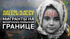 В поисках еды, воды и убежища. Лагерь мигрантов на белорусско-польской границе