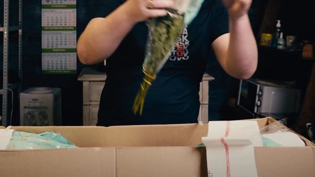 Кустовая роза, сорт Джульетта | Плантация Tambuzi, Кения смотреть онлайн