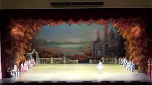 Стуконога Юлия вариация из па де труа балет"Лебединое озеро"