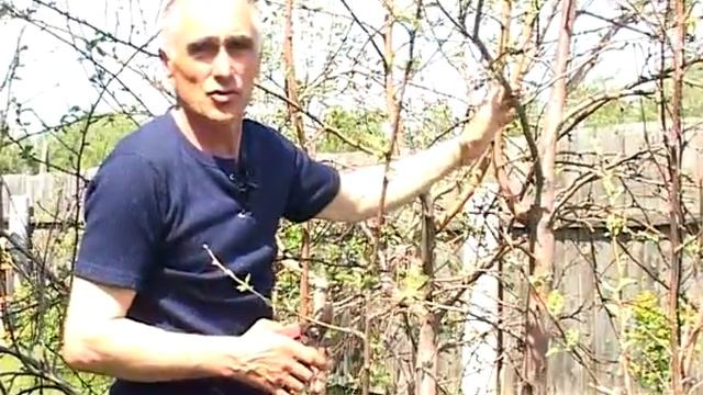 Удачный день 1 смотреть онлайн